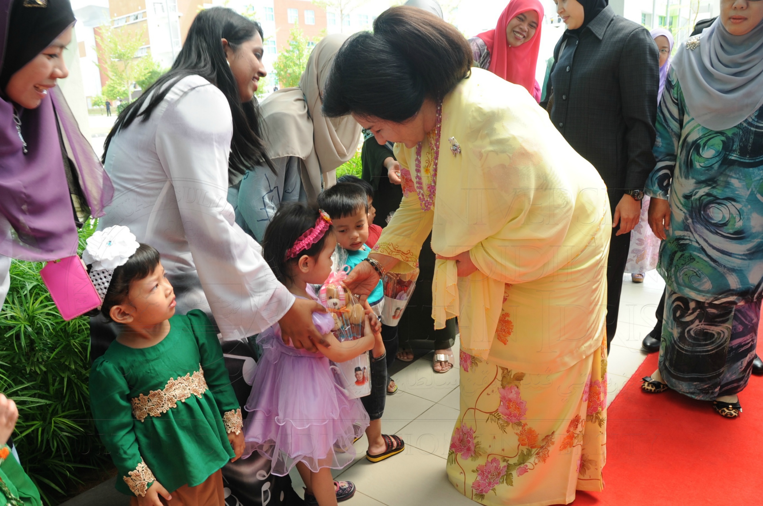 PRO16 32 NCDC HAS 3386